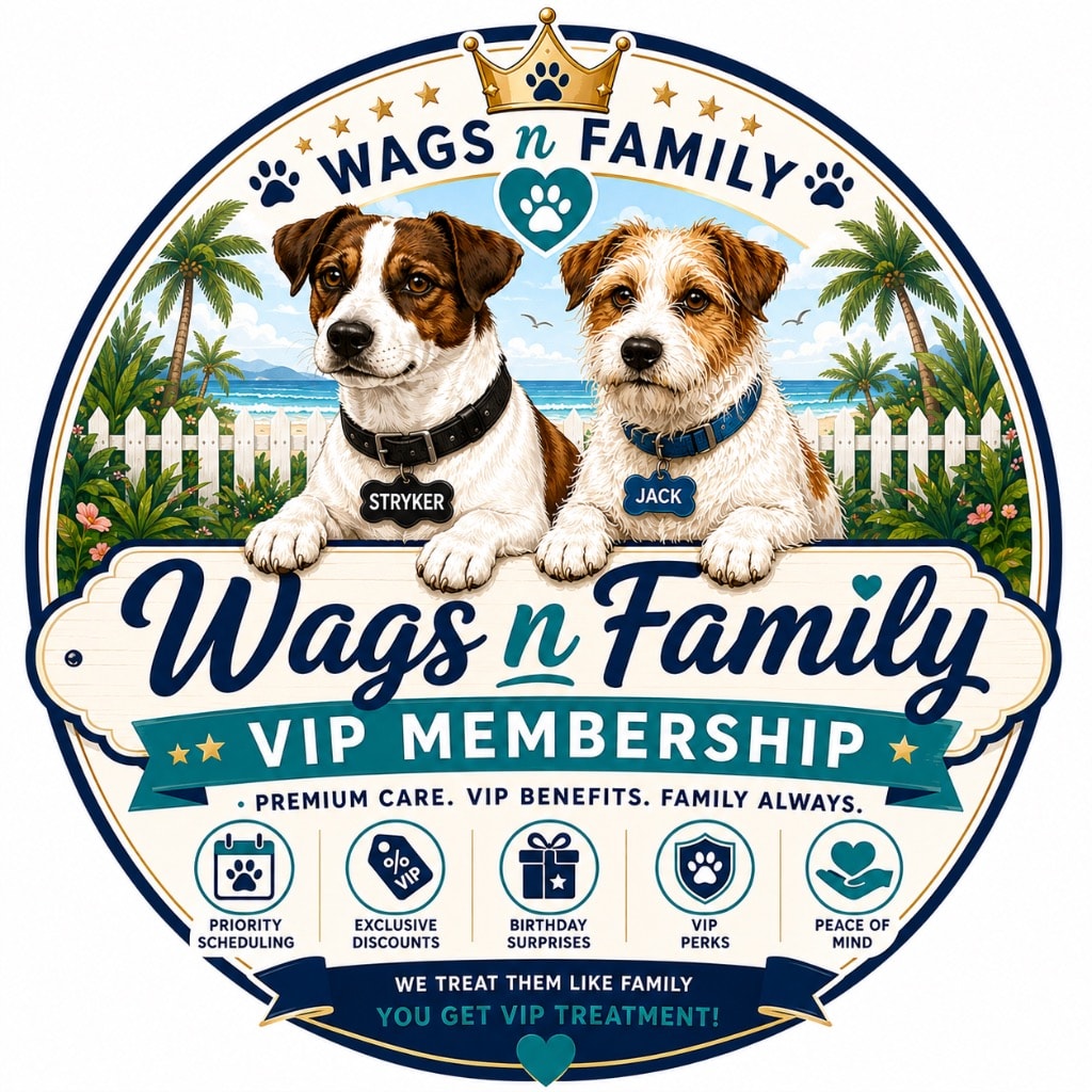 Wags n Family VIP Membership — Jack and Stryker